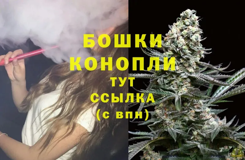 Бошки Шишки THC 21%  Мглин 